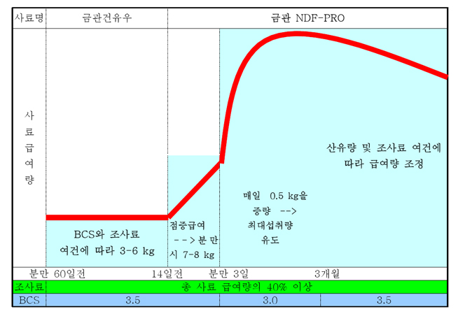 금관 착유우 프로그램 